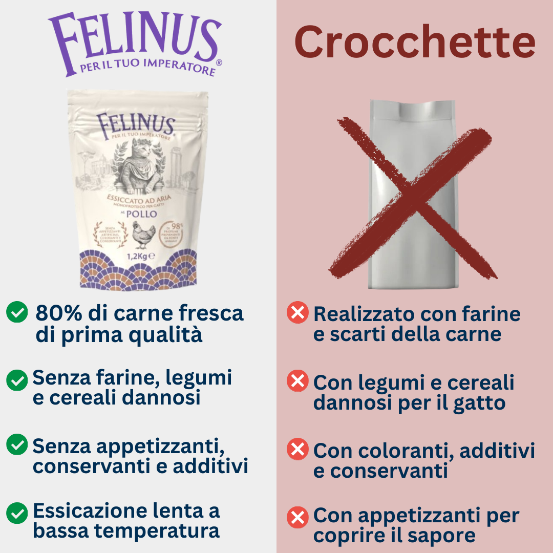 Confronto tra Felinus e crocchette tradizionali