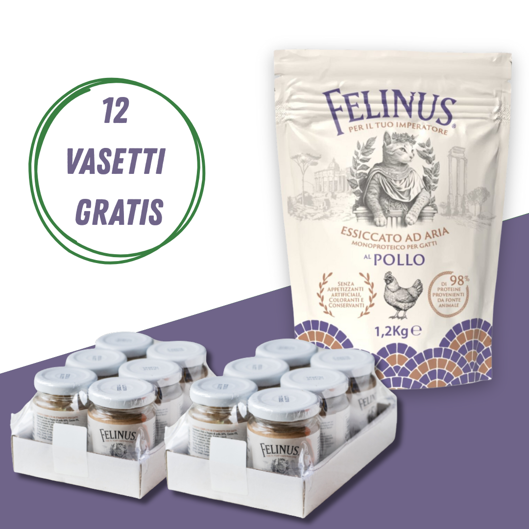 12 vasetti + essiccato al pollo Essiccato ad aria al pollo + 12 vasetti in vasocottura misti - immagine 1