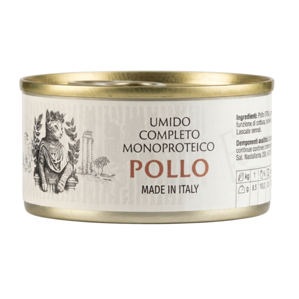 Umido completo in straccetti made in Italy pollo e carote - 85 gr.